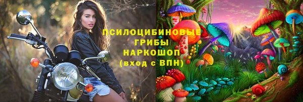 твердый Богородицк